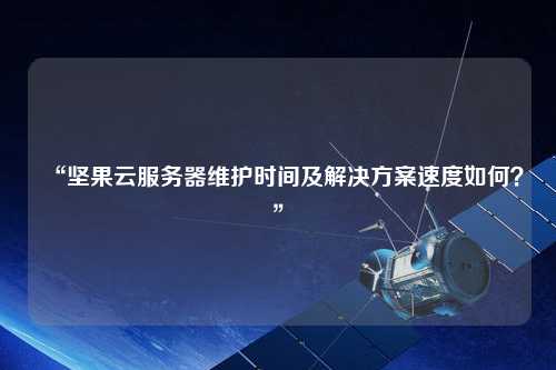 “堅果云服務器維護時間及解決方案速度如何？”