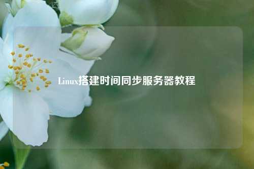 Linux搭建時間同步服務器教程