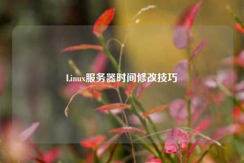 Linux服務器時間修改技巧