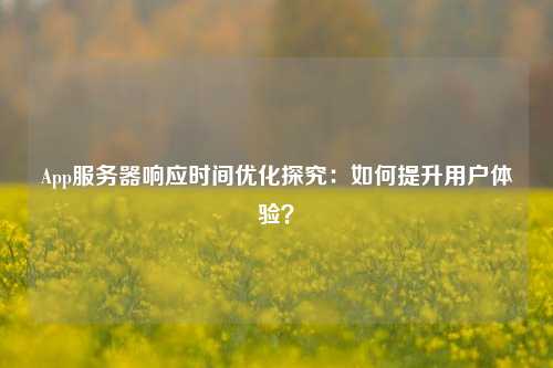 App服務器響應時間優化探究：如何提升用戶體驗？