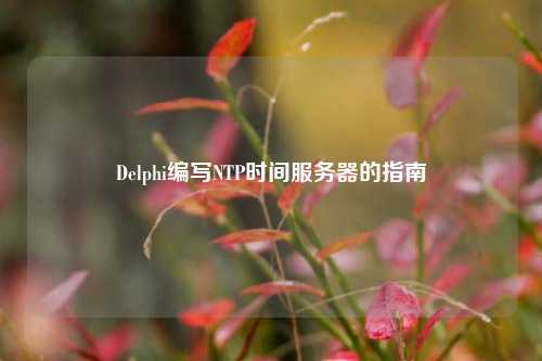 Delphi編寫NTP時間服務器的指南