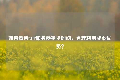 如何看待APP服務器租賃時間，合理利用成本優勢？