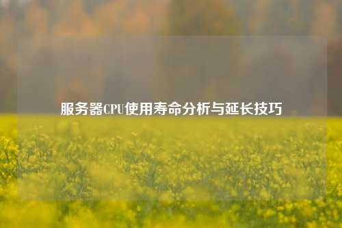 服務器CPU使用壽命分析與延長技巧