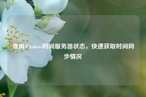 查詢Windows時間服務器狀態，快速獲取時間同步情況