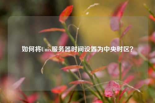 如何將Unix服務器時間設置為中央時區？