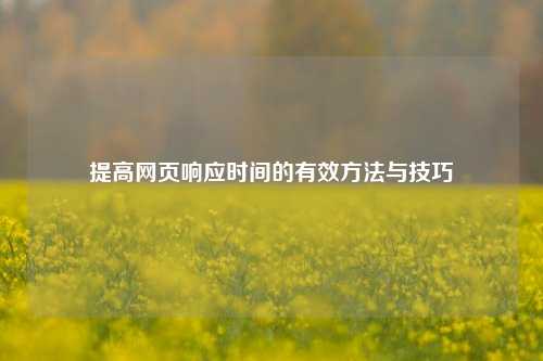 提高網頁響應時間的有效方法與技巧