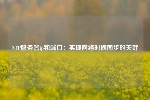 NTP服務器ip和端口：實現網絡時間同步的關鍵