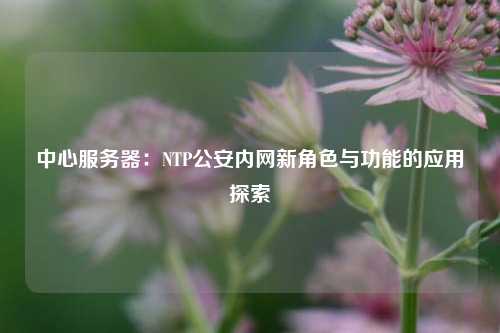 中心服務器：NTP公安內網新角色與功能的應用探索