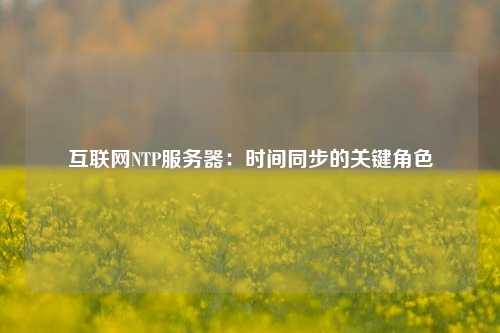 互聯網NTP服務器：時間同步的關鍵角色