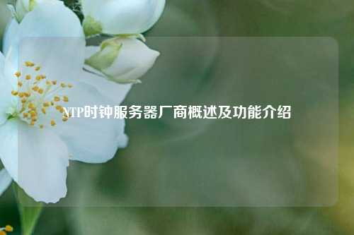 NTP時鐘服務器廠商概述及功能介紹