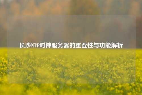 長沙NTP時鐘服務器的重要性與功能解析