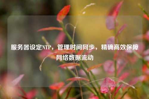 服務器設定NTP，管理時間同步，精確高效保障網絡數據流動