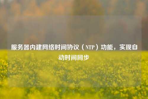 服務器內建網絡時間協議（NTP）功能，實現自動時間同步