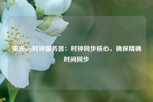 重慶ntp時鐘服務器：時鐘同步核心，確保精確時間同步