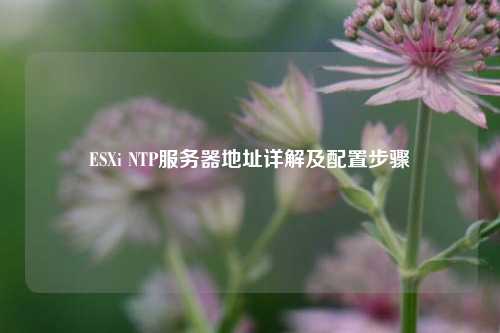 ESXi NTP服務器地址詳解及配置步驟