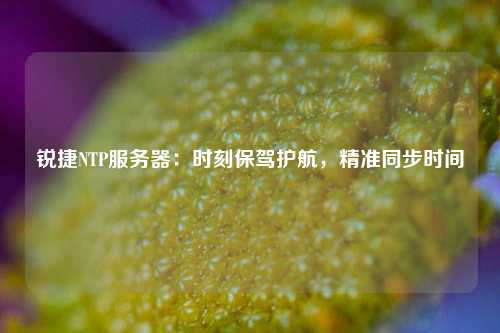 銳捷NTP服務器：時刻保駕護航，精準同步時間