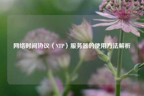 網絡時間協議（NTP）服務器的使用方法解析