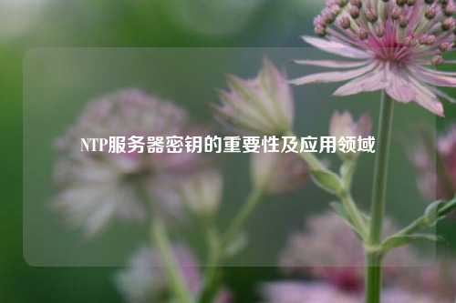 NTP服務器密鑰的重要性及應用領域